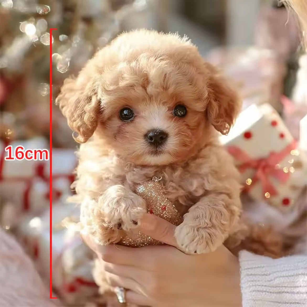 LindraPup™ Nico – Din Realistiska Robotvalp